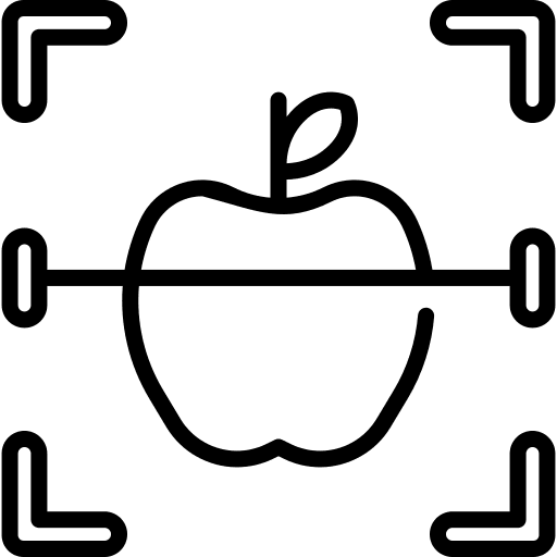 Step 2 Multi-Class Object Detection