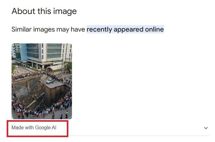 Screenshot from Google Images showing the AI-generated content detection label, highlighted by AFP. 