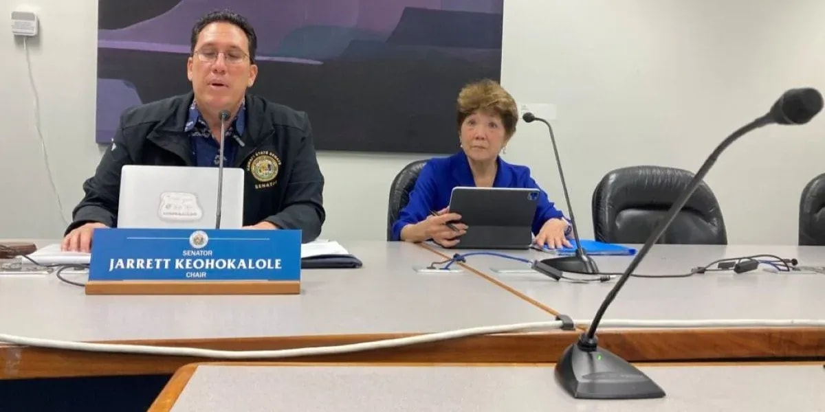 Hawaii-Lawmakers-Push-AI-Chatbot-Protections-After-Disturbing-Case