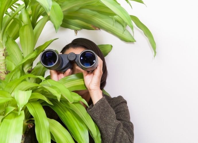 Person Detection - How Does Ai Help with Detection and more?