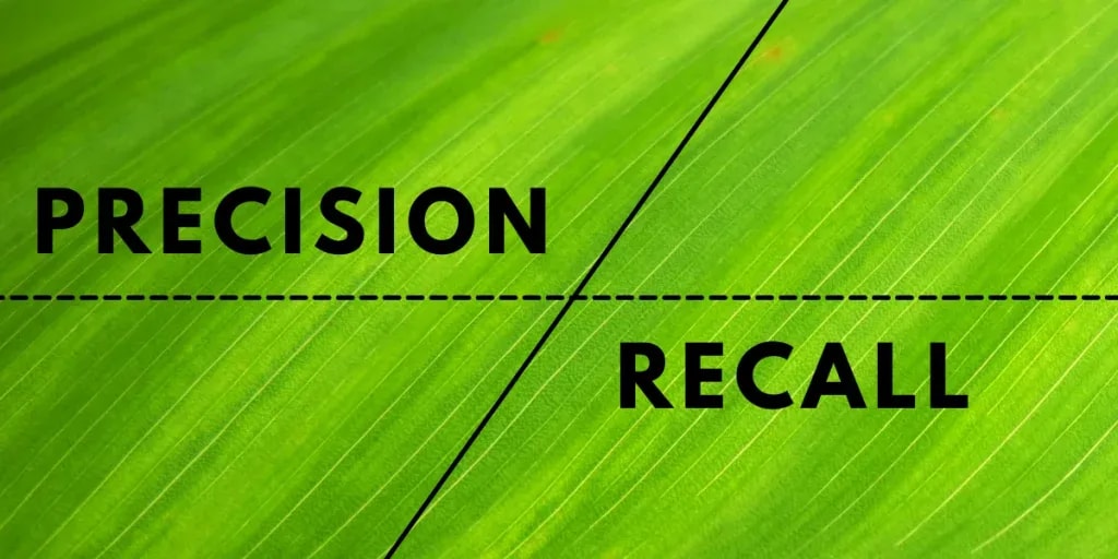 Explaining Precision and Recall in Machine Learning