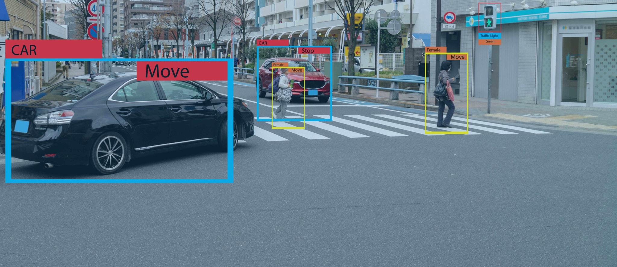What Image Labeling Services Do and How They Work
