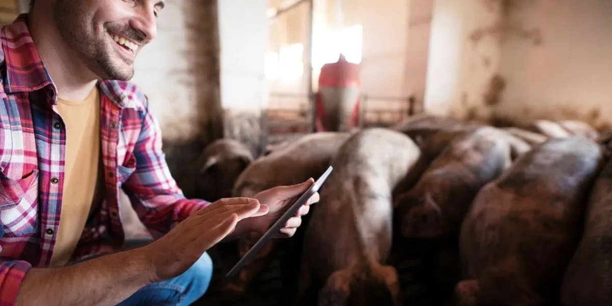 Future of Livestock Management: AI Cattle Counting &amp; Smart Farming