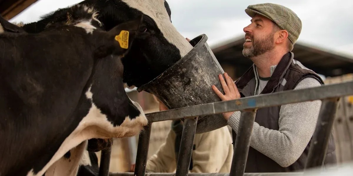 How AI is Revolutionizing Cattle Counting for Large Ranch Operations?