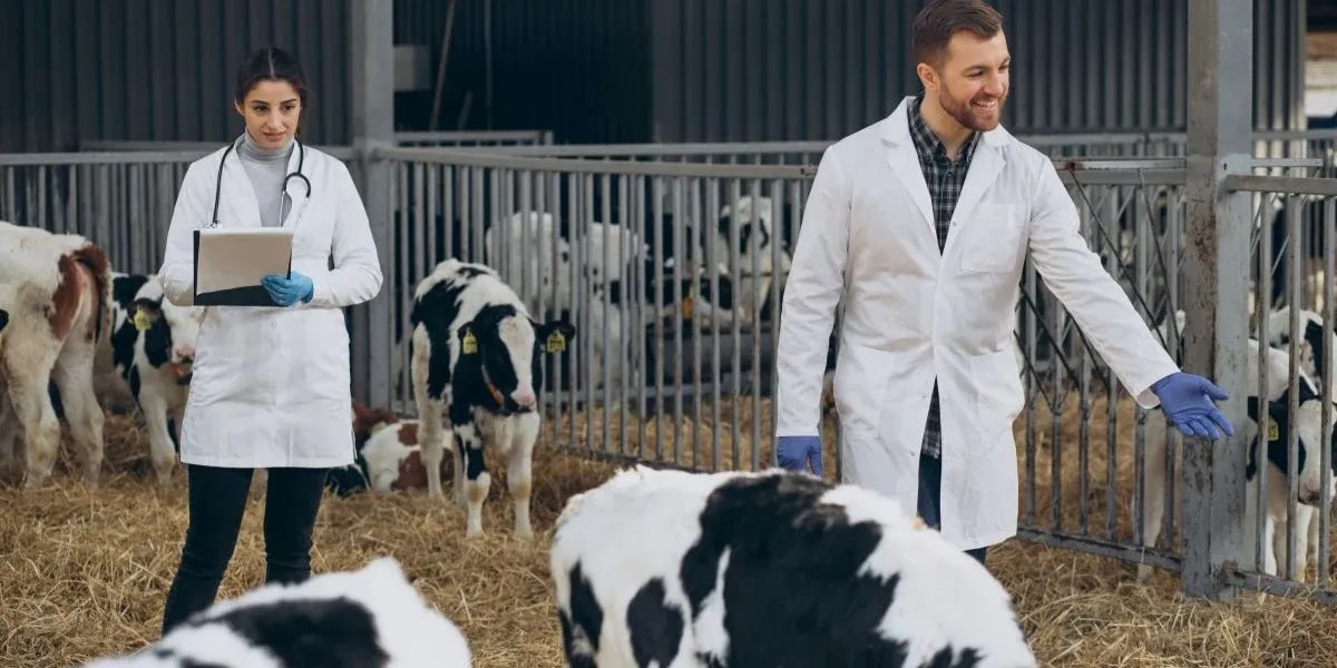 How AI is Revolutionizing Cattle Counting for Large Ranch Operations?