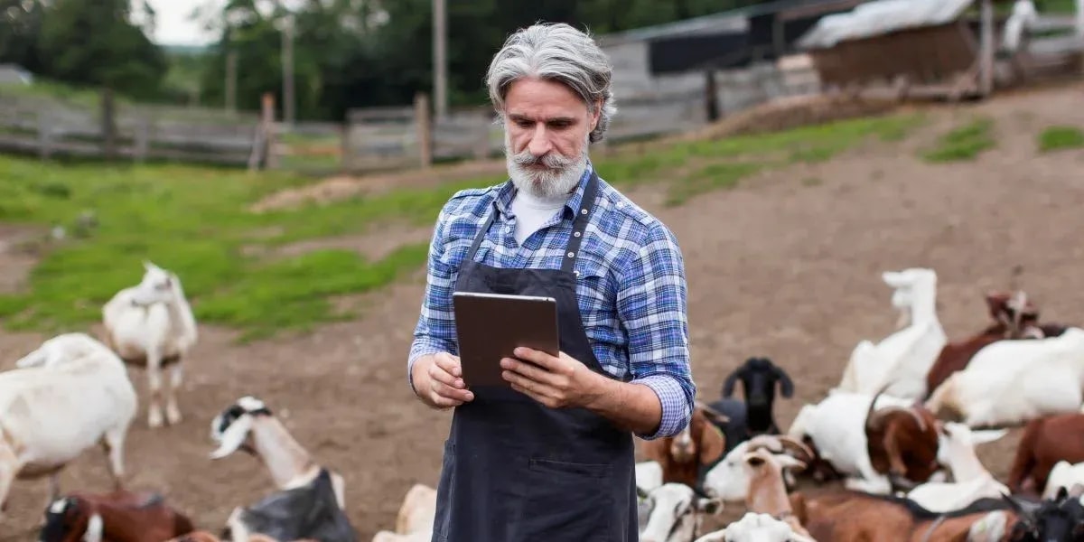 ROI of Automated Cattle Counting: Labor & Feed Optimization with AI