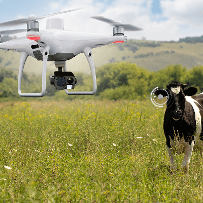 Livestock Monitoring & Management