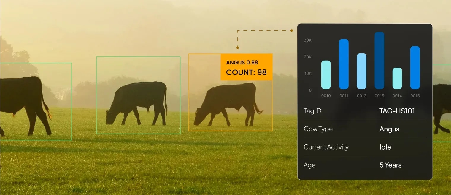 Automated Cattle Counting with AI-Powered Animal Detection Solution.
