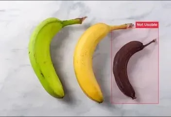 Food-Waste-Reduction-