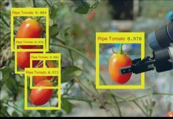 Object-Counting-Classification