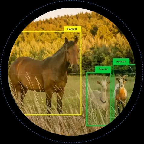Automate-Animal-Detection-Counting-and-Classification-With