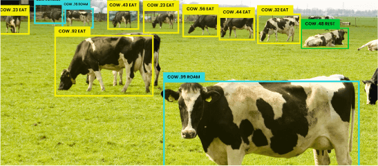 Pose-Detection-Pose-Detection-