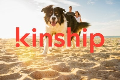 Kinship case Study - AI and ML Solution