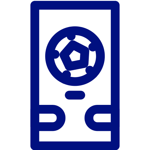 Proven Sports Software Delivery Track Record
