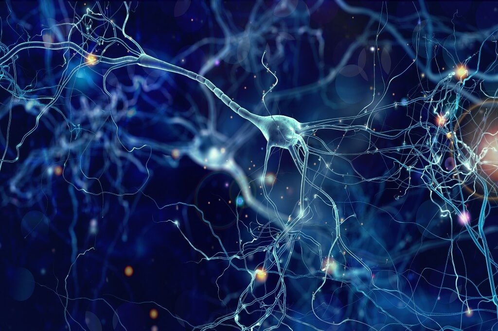 Types of Neural Networks and Its Advantages