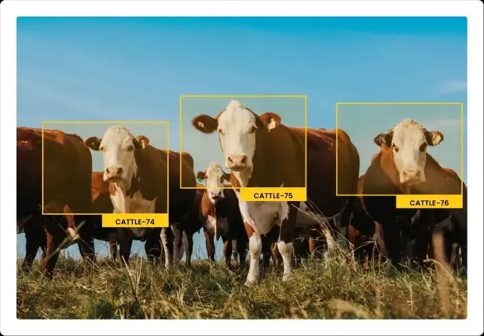 Trusted Cattle Counting at Every Critical Movement Point