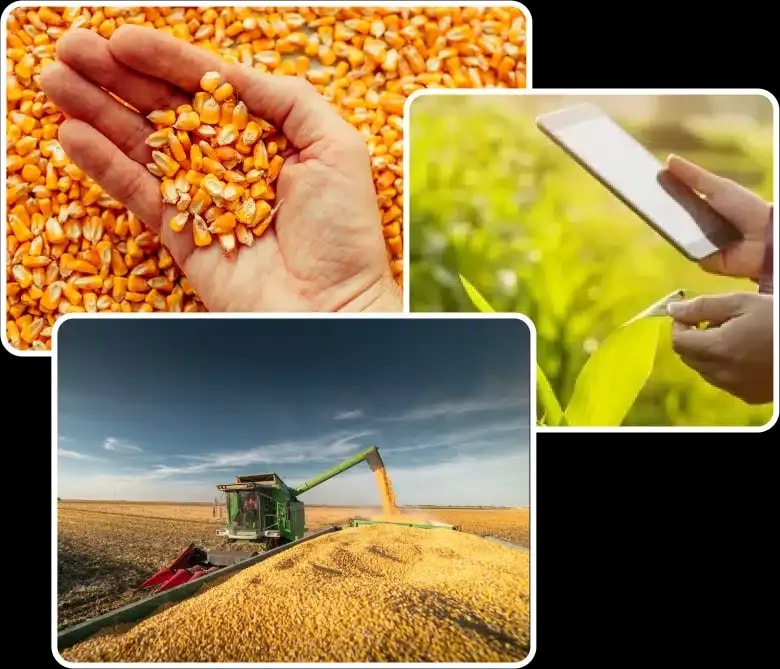 Gro Alliance Crop Lifecycle