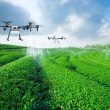 drones in agriculture and farming