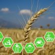 Applications of Machine Learning Algorithms in Agriculture