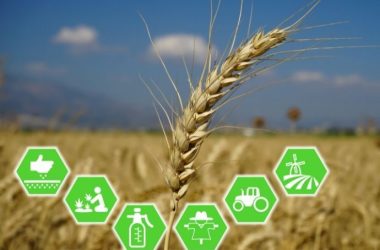 Applications of Machine Learning Algorithms in Agriculture