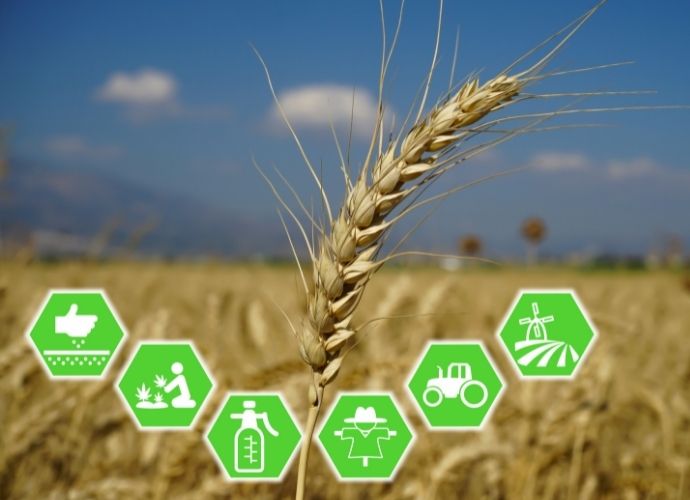 Applications of Machine Learning Algorithms in Agriculture