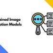 3 Pre-trained Image Classification Models