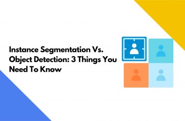 Instance Segmentation Vs. Object Detection