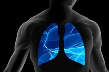 Lungs detection