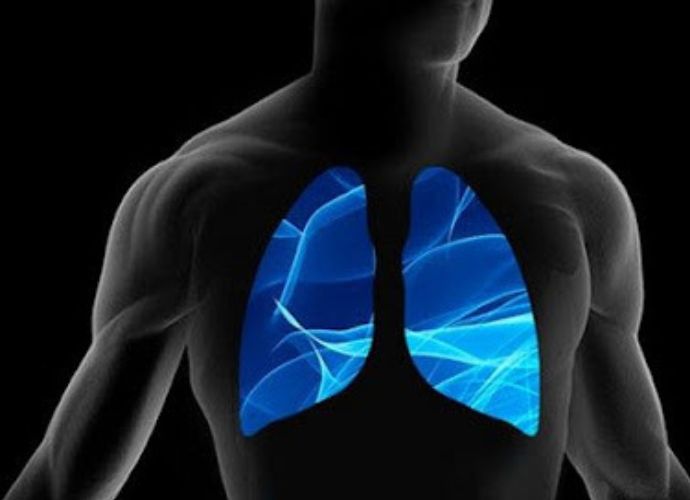 Lungs detection