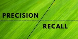 Precision and Recall