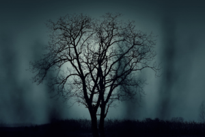 understanding-decision-trees