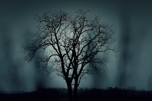 understanding-decision-trees