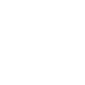 bg-ico-computer-vision-v2-min