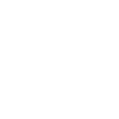 bg-ico-npl-min