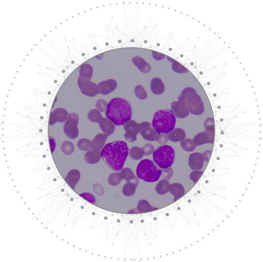 bg-case-study-screen-shot-breast-cancer-her2-min