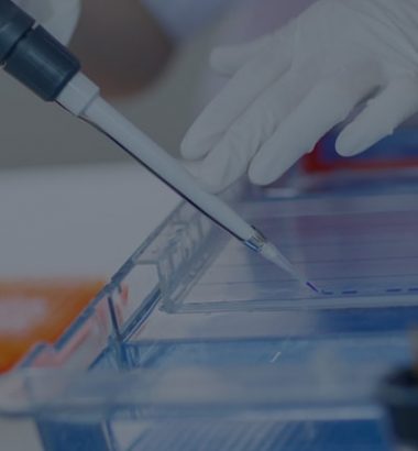 Thalassemia Identification Thalassemia Identification