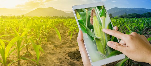 agriculture agriculture