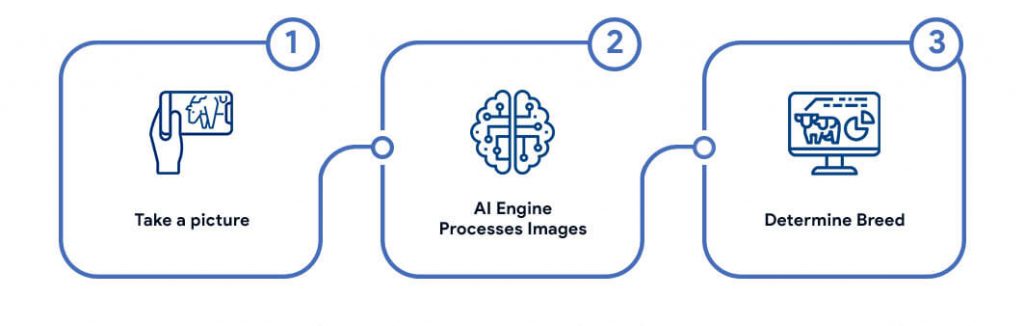 How Our Solution Works How Our Solution Works