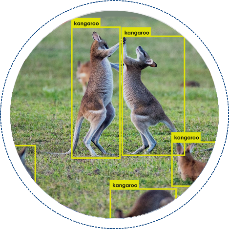 Animal Counting And Detection Solution by Folio3 Ai - Free Demo