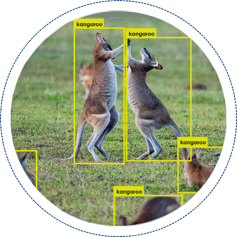 Animal Counting And Detection Solution by Folio3 Ai - Free Demo Animal Counting And Detection Solution by Folio3 Ai - Free Demo