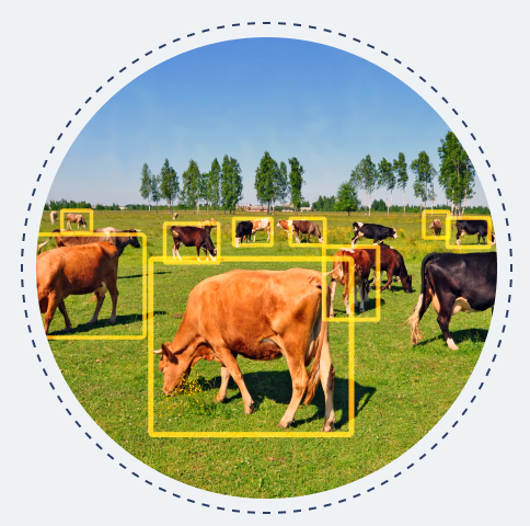 livestock-management