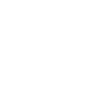 Customize-icon
