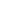 recognition-icon