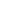 Data Scientist