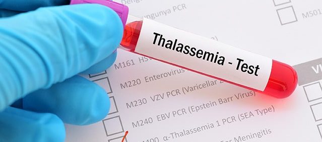 Thalassemia Identification Thalassemia Identification