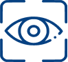 Object Detection, Counting, Tracking
