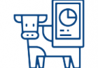 Livestock Livestock