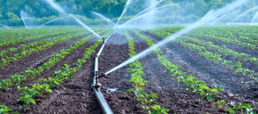 Precision Agriculture Precision Agriculture