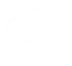 Revenue Optimization (1) Revenue optimize