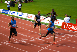 Sponsorship Monitoring (1) Sponsorship Monitoring